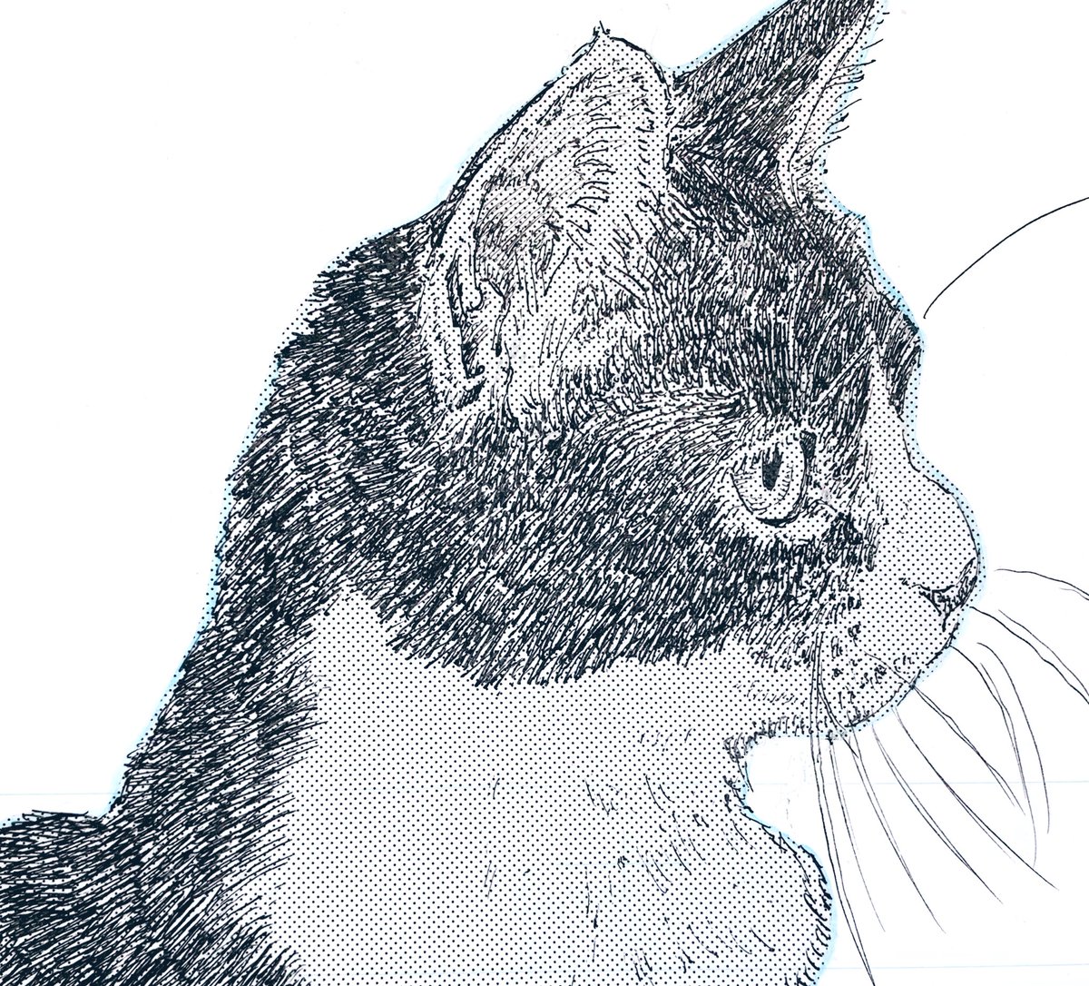『かまくらBAKE猫倶楽部』

「BE•LOVE」で連載中!

9/30発売の11月号は

第7話「猫といつもの」

トレイルランのいつものコースで出会った出来事とは?

#かまくらBAKE猫倶楽部 