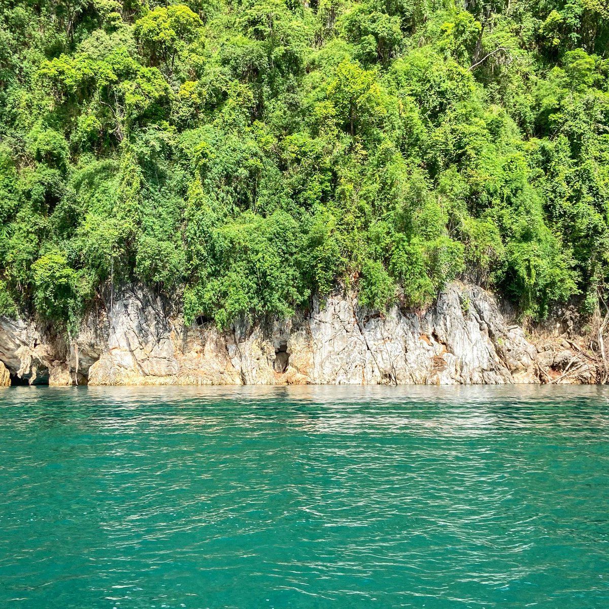 CarloAgnesi's tweet photo. #cheowlan #thailand https://t.co/1e2VR75u2i