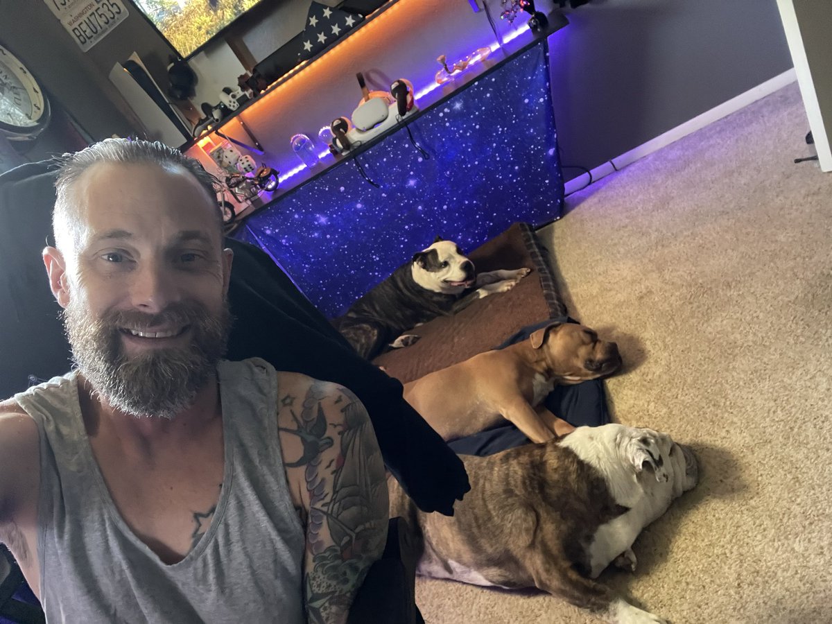 CrazyNavy_Vet's tweet image. When you have the “Goodest” dogs!  They sunbathed this am before stream. #DogsOnTwitter #streamerpets  Lets See em!!!  #SmallStreamerCommunity @RegimentGG  🤪✌️🌞🐾
