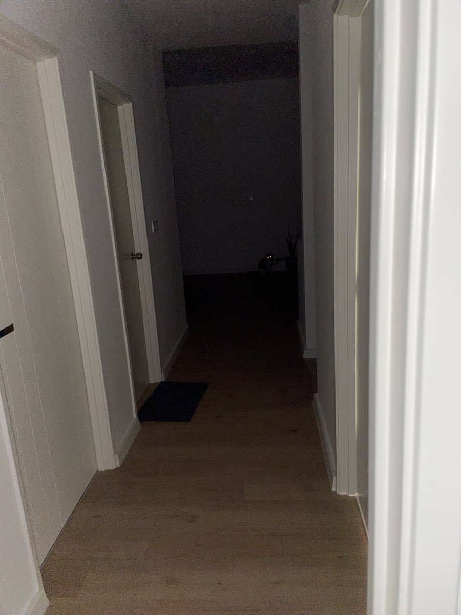 cryptobulletpro's tweet image. My cat scare the poop out of me. Staring at the abyss , and the abyss stares back at me.