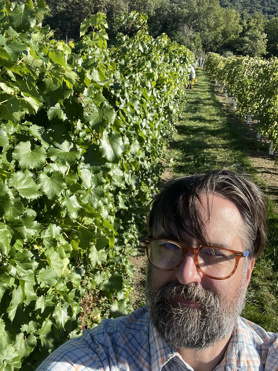 EnologyLab's tweet photo. Took a bunch of food science and brew club students out to harvest La Crescent in @michela_psu beautiful vineyard. @vitisroots vines to my left https://t.co/liGrQoi9TZ