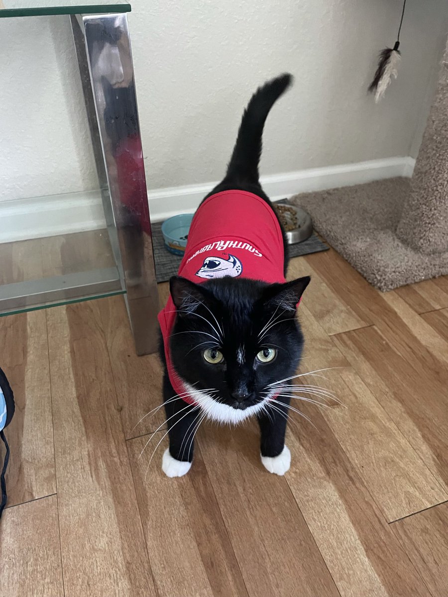 kailey keeble (@k1keeble) on Twitter photo Boots repping the jags always <a href="/SouthAlabama/">South Alabama Athletics‼️</a> #portcitypups #petofthegame Boots repping the jags always <a href="/SouthAlabama/">South Alabama Athletics‼️</a> #portcitypups #petofthegame