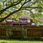 ツイートに含まれる画像