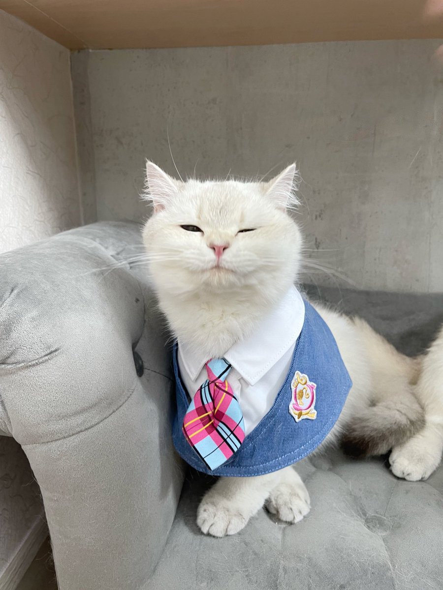Bonusiie's tweet photo. ลูกบงบงของแท้ต้องเจ้าแม่มีม https://t.co/ruUzAx9TPR