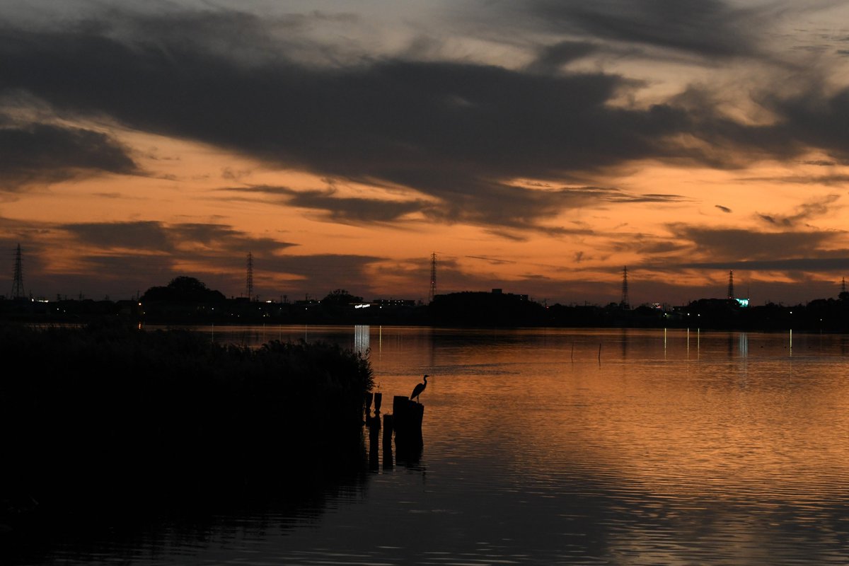#NFT  #opensea
#みんなで楽しむTwitter展覧会
#NewNFTProfilePic　#sky #photography
#photographylovers #PhotographyIsArt #photographicart
NFT Photograph
x.com/kawaiihanachiy…
facebook.com/toshimi.hiraya…
instagram.com/hirayamatoshim…

Lake Sanaru in Japan

opensea.io/Japan-t