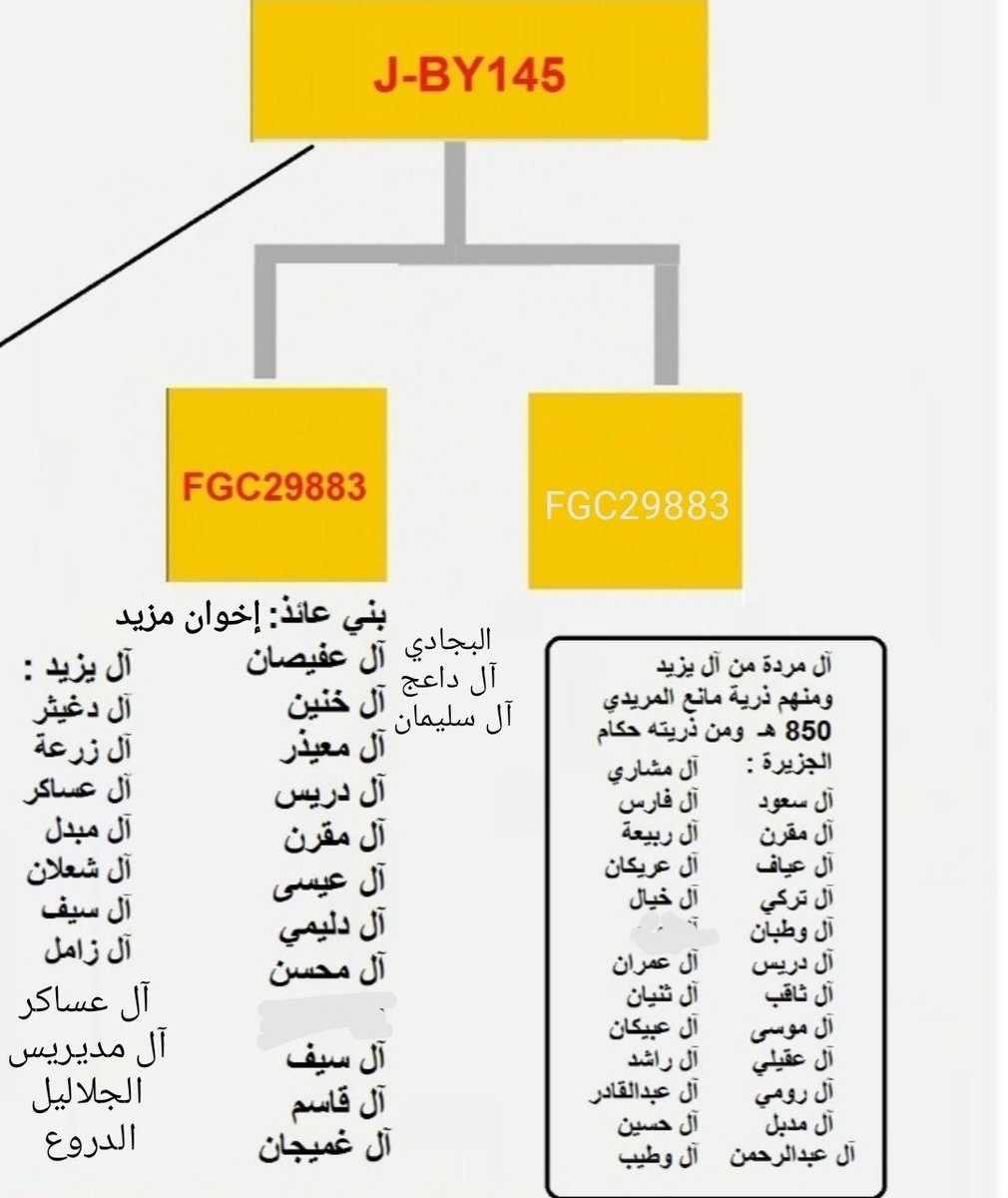 <a href="/qyt_hw/">عبدالرحمن الشمري 🇸🇦❤️</a> <a href="/tamalmejlad/">طلال بن عقيل المجلاد</a> <a href="/S_M_A_AlFaisal/">سعود محمد العبدالله الفيصل</a> عنزة قبيلة كريمة، لكن كموروث آل سعود من بني حنيفة وهي قبيلة جمعت بين القيادة والسيادة عبر تاريخها الجاهلي والإسلامي، وجينياً الأمر محسوم حيث أن آل سعود تكتلوا مع أبناء عمومتهم مثل الثاقب والوطبان والعساكر...إلخ، وجميعهم حاضرة وتكتلوا أسفل التحور By145 تحت التحور العدناني l222
