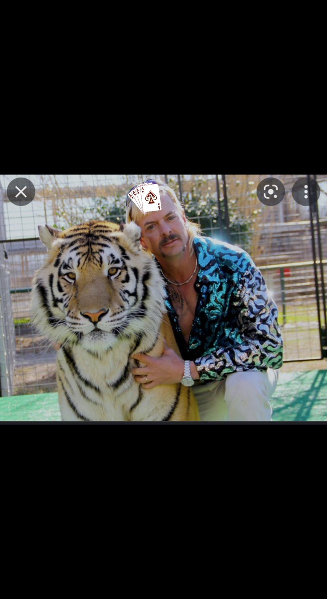 aces_barstool's tweet photo. @OneTigerNation1 https://t.co/gq1wj5DxAz