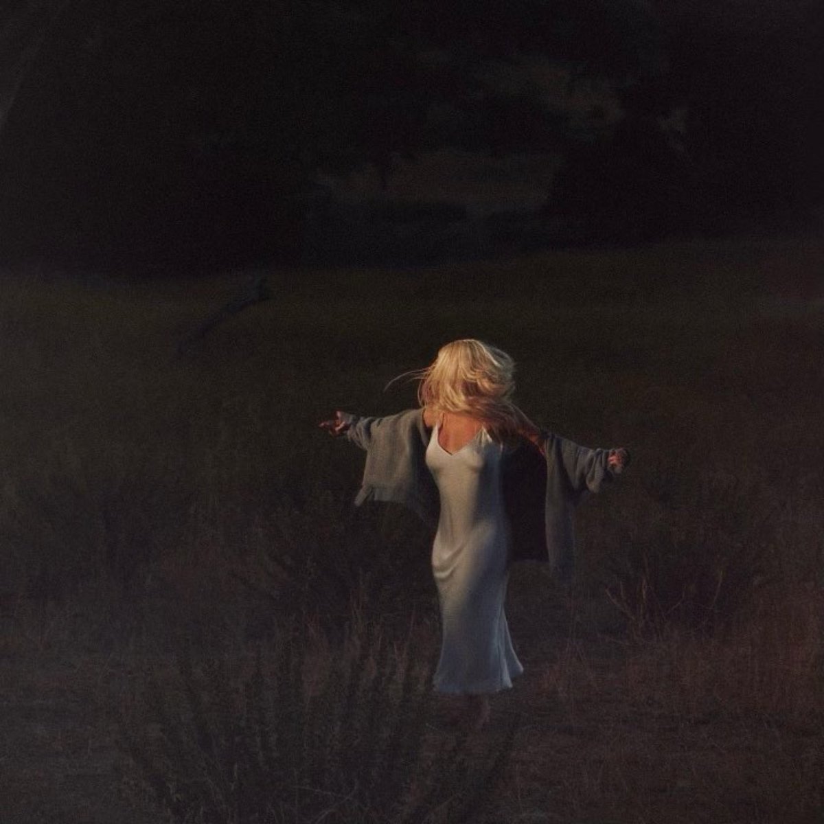 SonyMusicRD's tweet photo. Pre-Save #LaLuz 💡 de @xtina 

https://t.co/9R2JW6VJeF https://t.co/PweiW5itTp