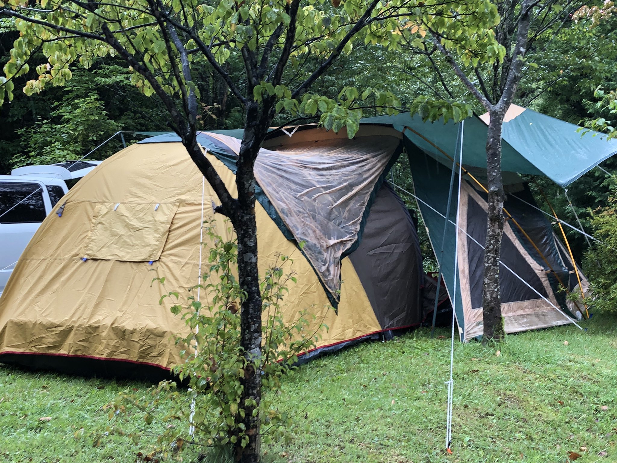 テント連結 Twitter Search Twitter