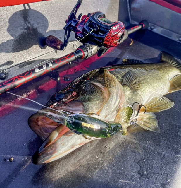 chasebaits's tweet photo. 🎣@fabio_fishing_life Getting the Bass worked up with the #DrunkenMullet!!
#DrunkenMullet #Bone #Frog #JellyPrawn #Whiz #Shadow #BlueBait #GoldShine #Bass #Chasebaits #ChasebaitsUSA #InspiredbytheChase https://t.co/yviBetnzvn