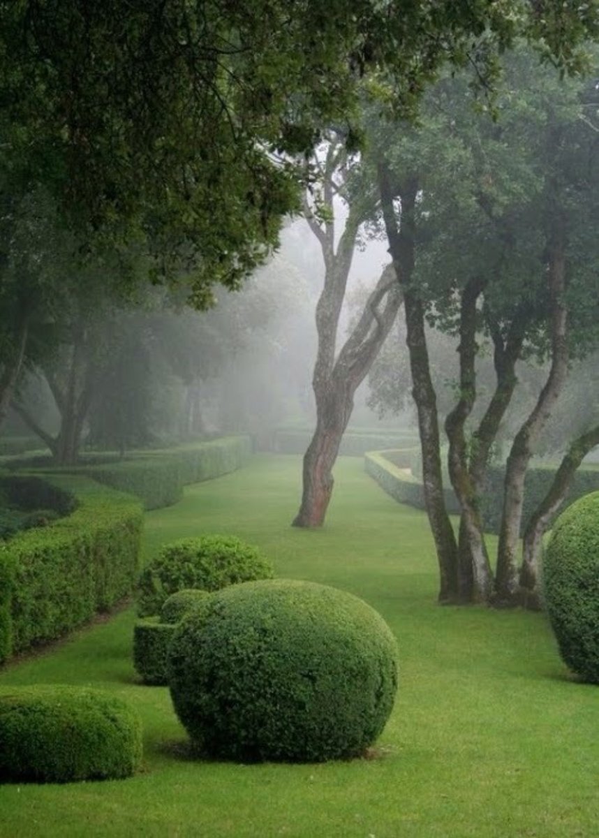 Peepsqueak's tweet photo. Gardens of Marqueyssac, France 
Photography by emotivelandscapes
https://t.co/kArcQMrm5k https://t.co/iB8yzT8yFG