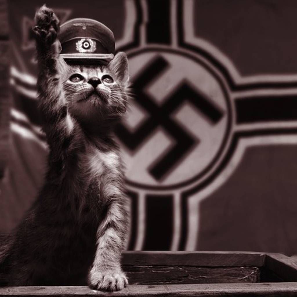 Зигующая собака