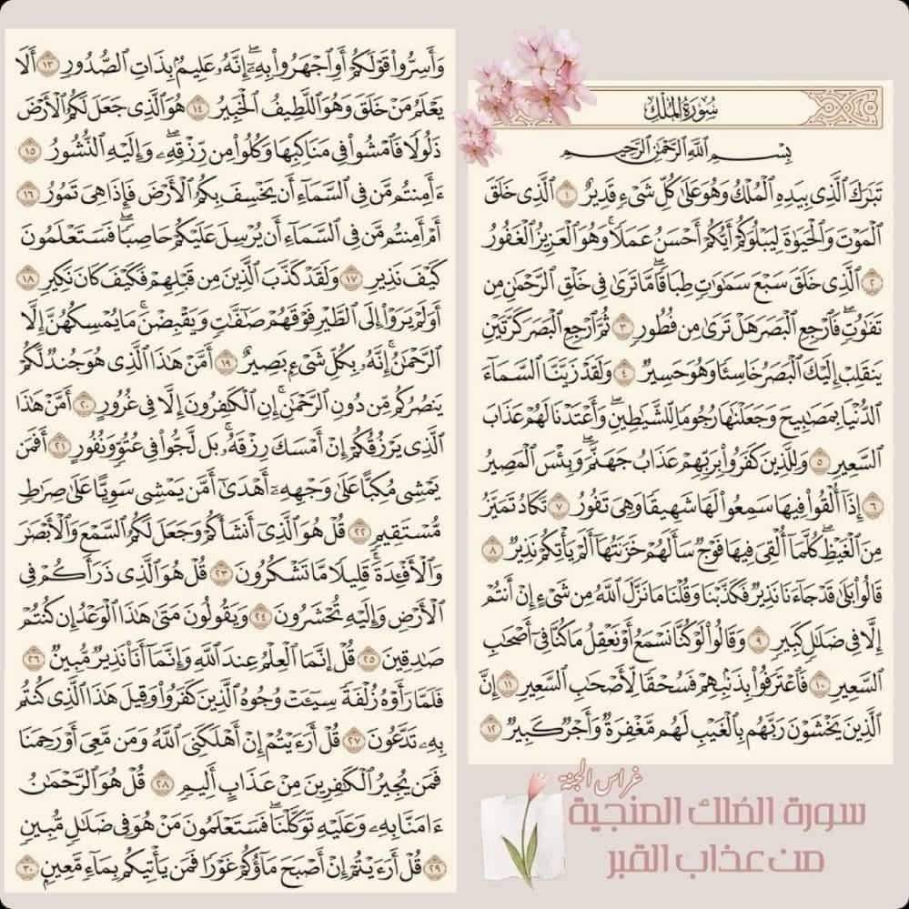 لعلها شفيعة لي يوم القيامه🫶.