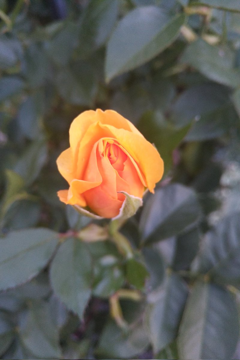 pattimarathon's tweet image. #WhileWalking. Not done yet.