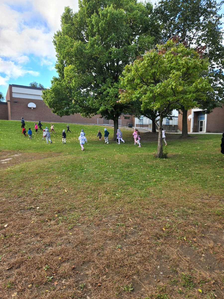 ChezMmeSansoucy's tweet photo. Our Kinders giving their all this chilly Friday morning in support of The Terry Fox Foundation.
P.S ...
Sometimes I believe that a group of @John23OCSB Kinders could easily outrun world class sprinters #catchthemifyoucan 😅🤷‍♀️#RunLikeTerry #TerryFox #terryfoxschoolrun https://t.co/Qr1s6pCy0E