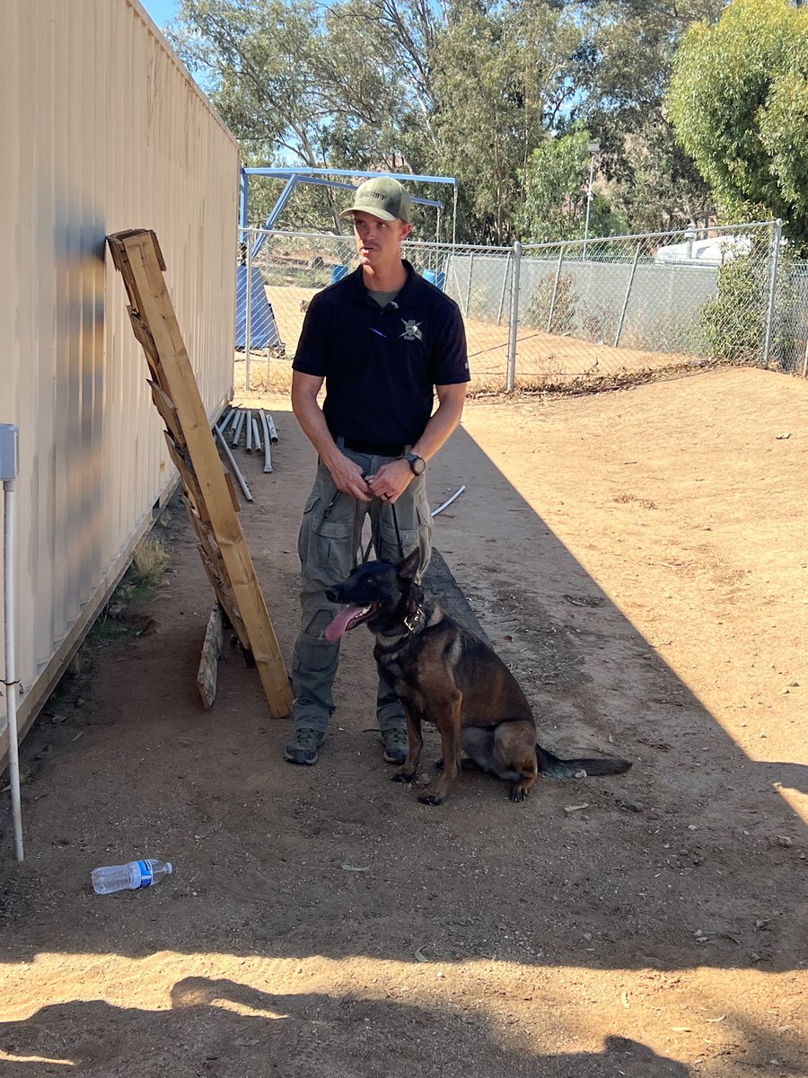 Welcome our new members to SED. Deputy Bruno and Deputy Cara.