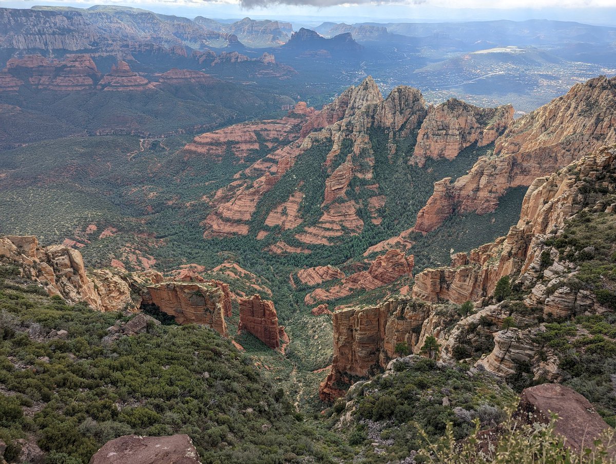 lovevisuals tweet media