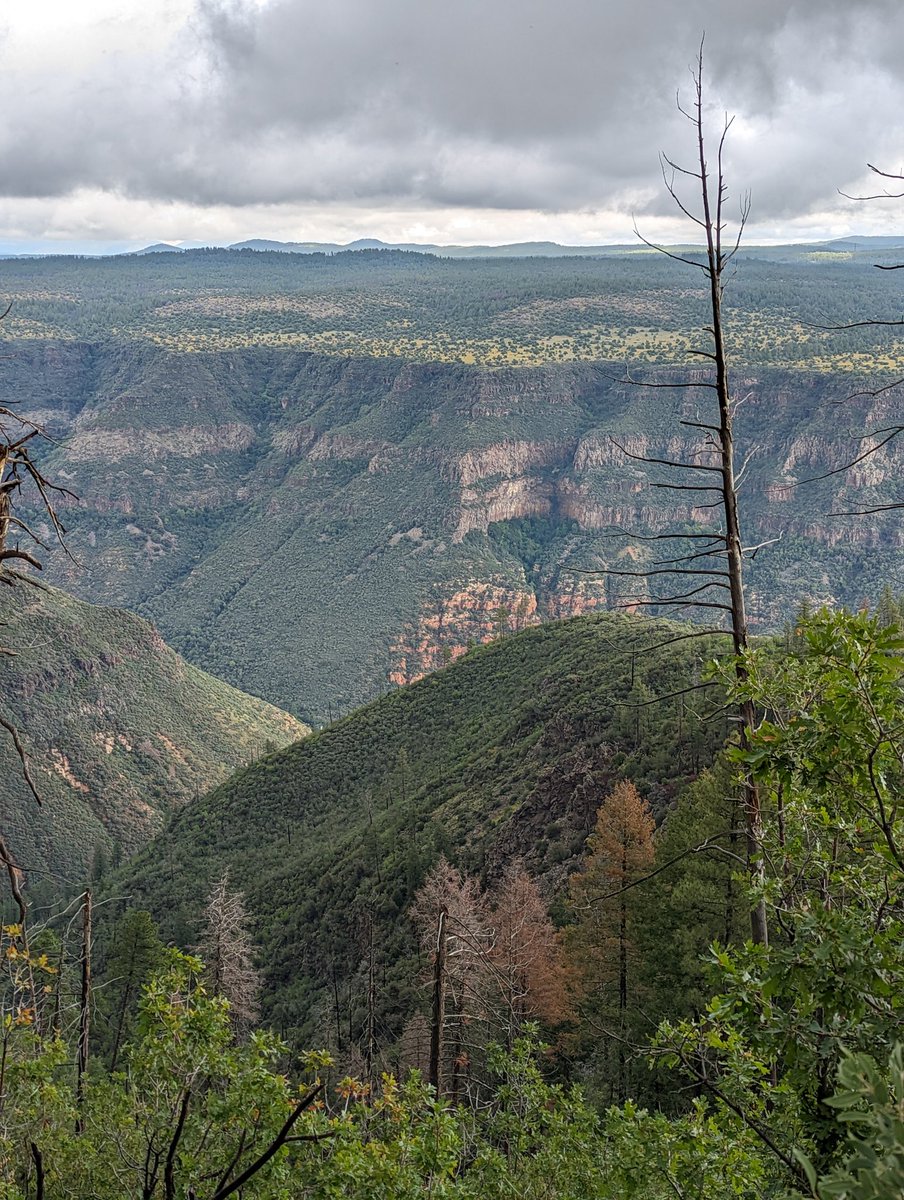 lovevisuals tweet media