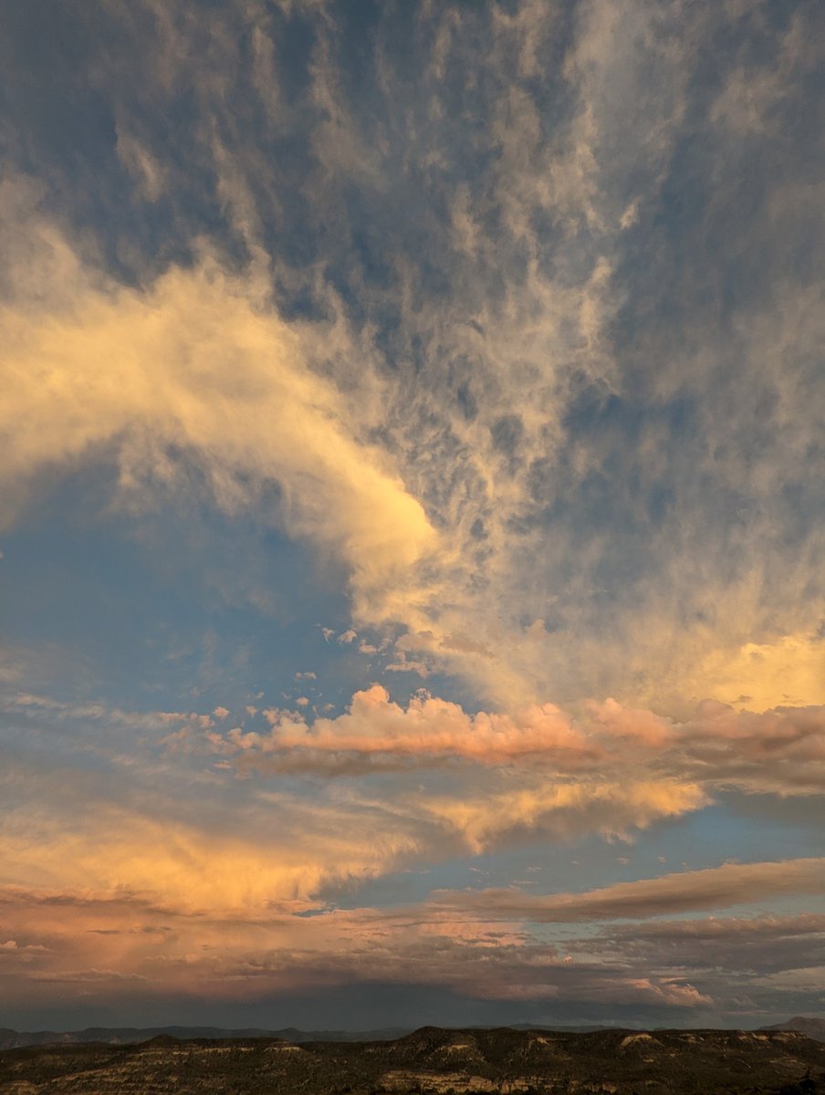 lovevisuals tweet media