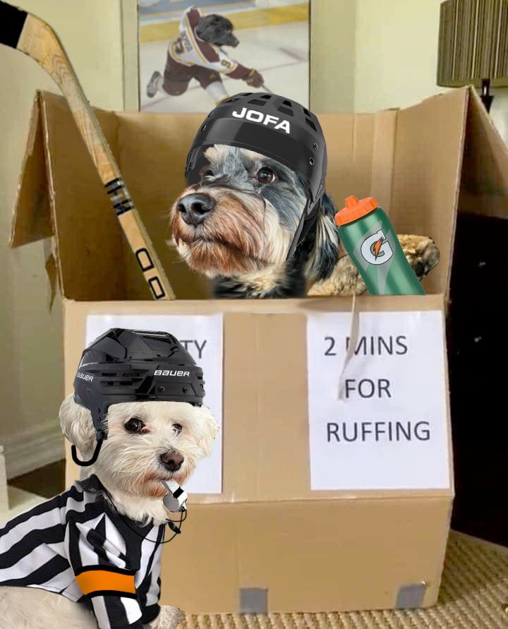 Alan_Waldron's tweet photo. @danwarren6 I put my own dogs in there… https://t.co/cydjGzfOtb