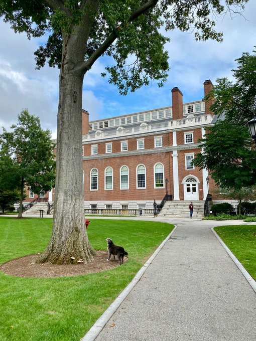 DrImranSheikh's tweet photo. Take time to stop and watch the squirrels. πΆπΏοΈ #HarvardInFall #BackToSchool #HGSE https://t.co/e60y6Q5C0j
