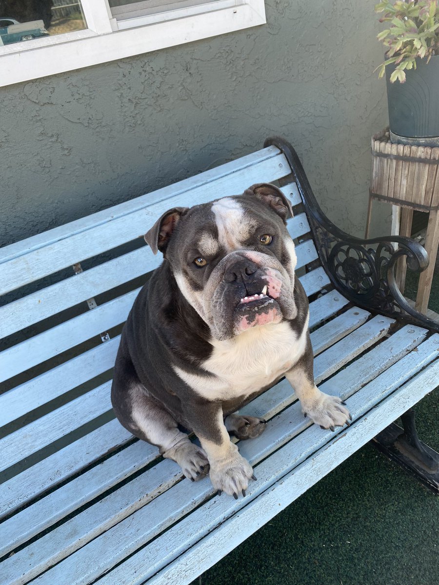 Just chilling outside with mama looking for zombies!!! Cpl. Humphrey. #ZSHQ