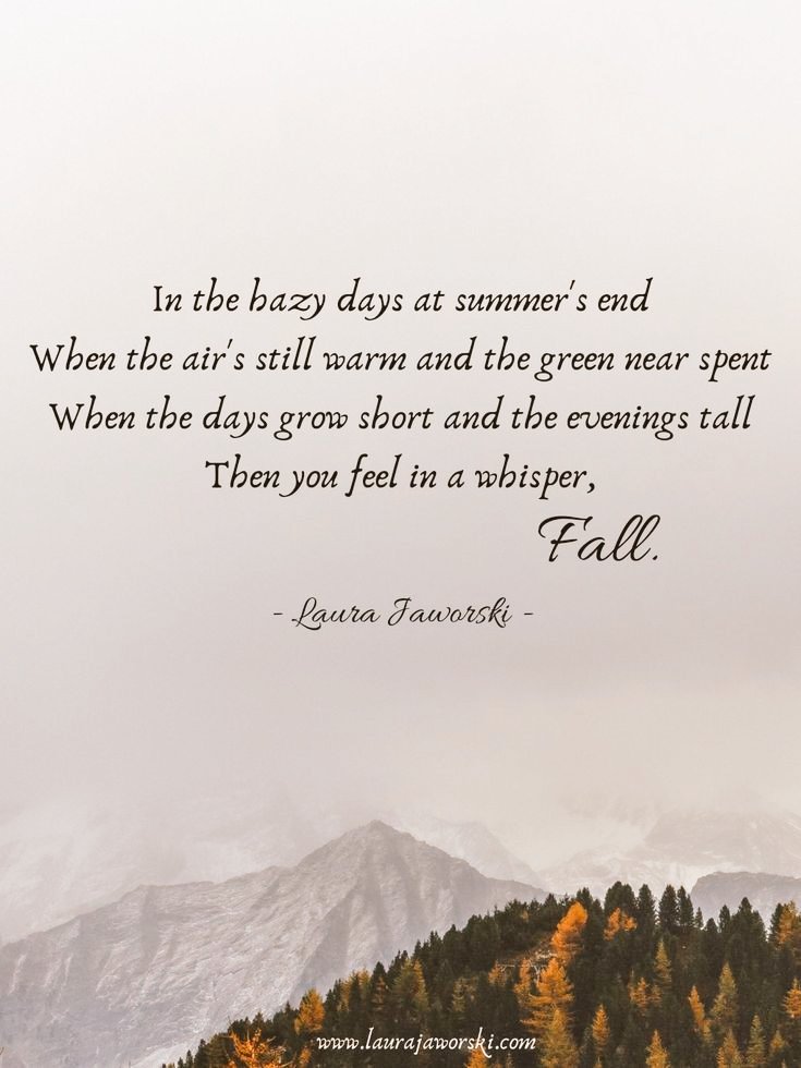 Just_PATIENCE's tweet photo. It's the most wonderful time of the year 🍃🍂 #HappyFall https://t.co/a7YEhEpaBx