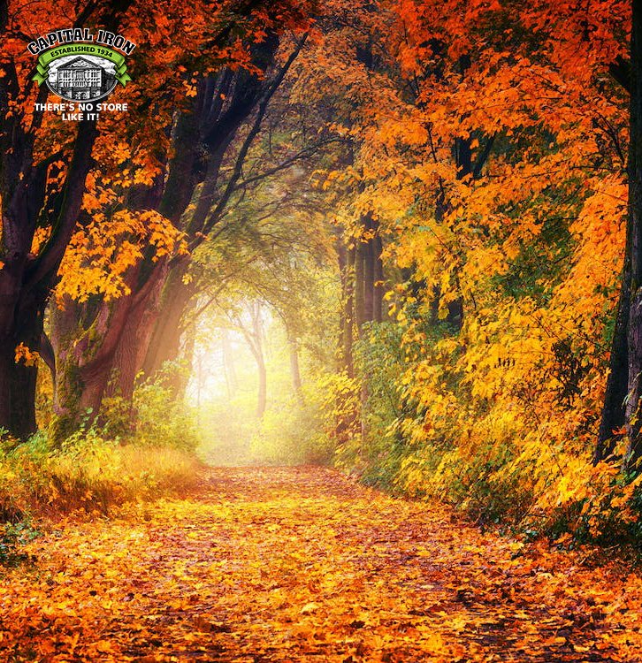 Capital Iron tweet media