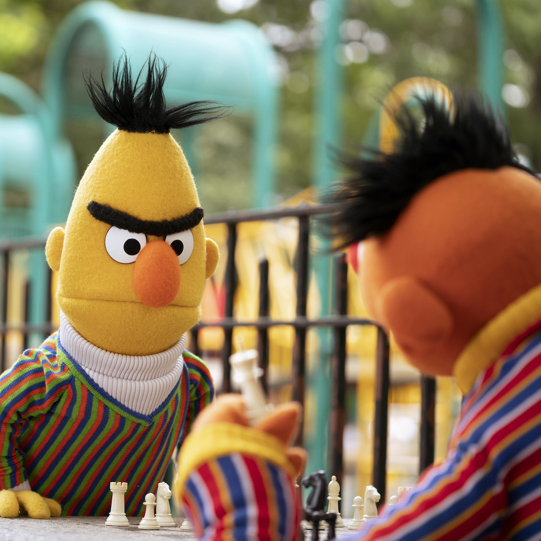 sesame street bert pigeon