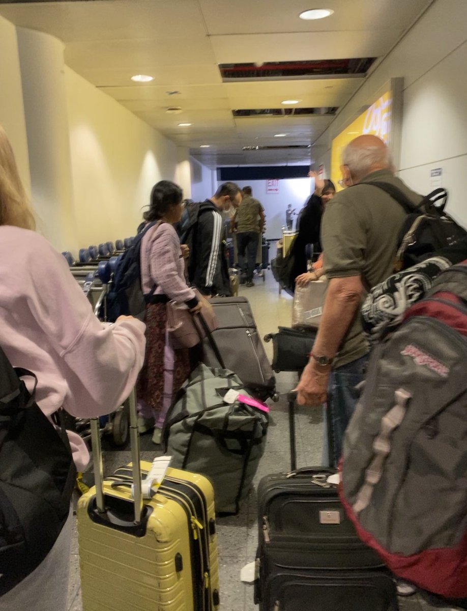 Orglamix tweet media