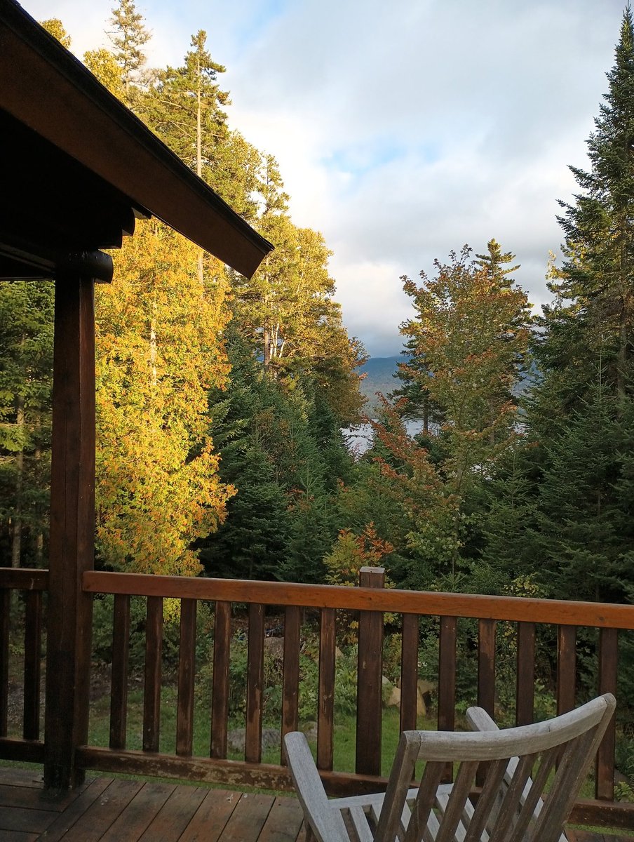 chrishallweaver's tweet image. Cedar is showing off.