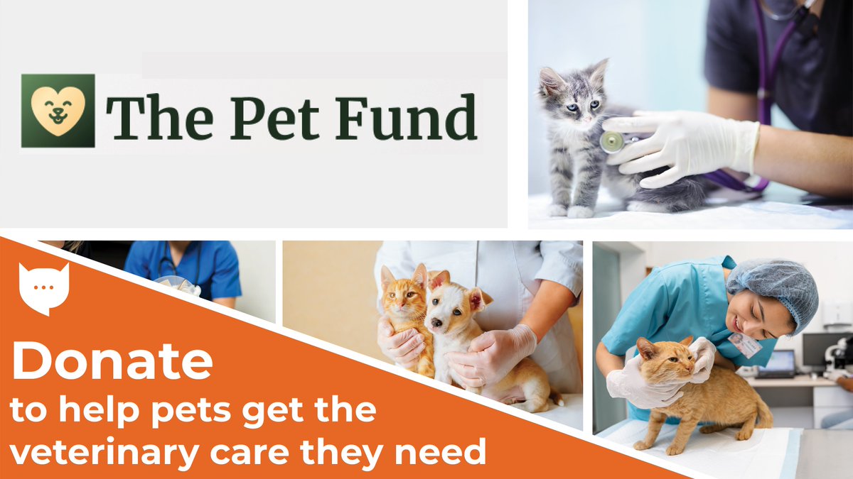 MeowTalkApp's tweet photo. Meowtalk is a proud partner of The Pet Fund, a #nonprofit that is dedicated to funding veterinary care for pets in need. Please #donate to help:
 https://t.co/503GeZqL1O 

The Pet Fund has a matching grant opportunity that will double all of your donations through Sep 30th https://t.co/k9eYUNTYPY