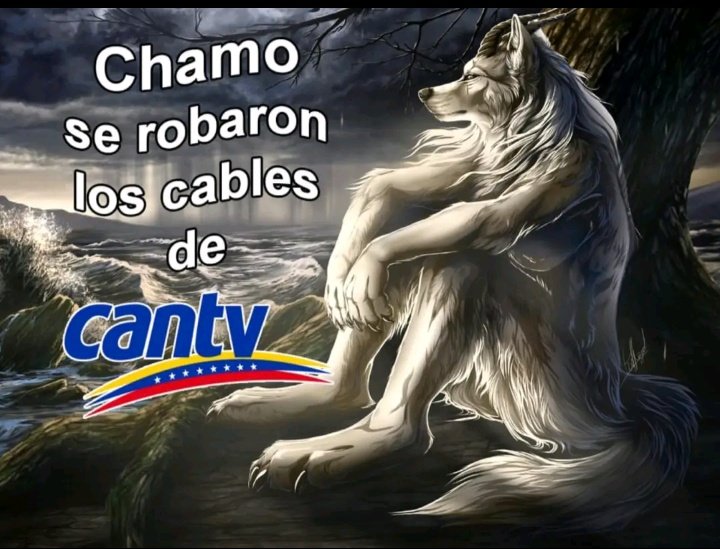 Gamba1303's tweet photo. Cambio mi nacionalidad por una oreo https://t.co/aCOYVSRzPR