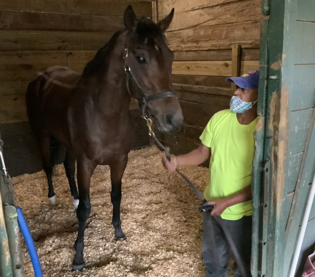 ¿Podrá ganar SIMPLIFICATION el #PennsylvaniaDerby? No te pierdas la antesala este sábado a las 11 a.m. ET en el canal de YouTube EXACTA BOX. Además pronósticos para el Pick 5 en #GulfstreamPark y #BelmontattheBigA a cargo de Edgar Villa López, <a href="/EdgarVillaLope1/">Edgar Villa Lopez</a>. Los esperamos.