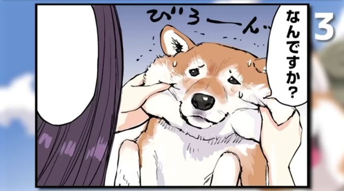 柴犬大好きのtwitterイラスト検索結果