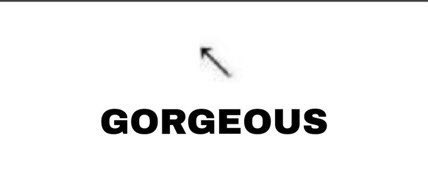 Anything Bot tweet media