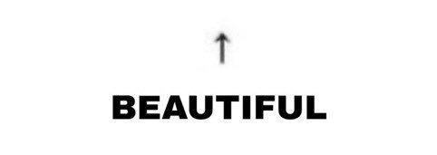 Anything Bot tweet media