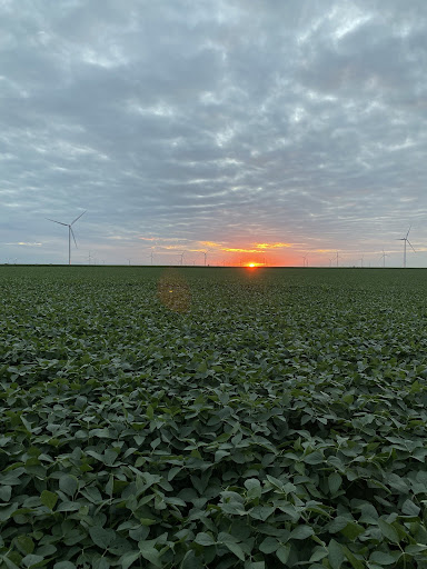 RRXtend's tweet photo. From sun up to sun down, there is always something to look forward to when you #WorkFromFields.  

Photo credit: @drich82, @jmichael8430 https://t.co/yjcrR9F45u