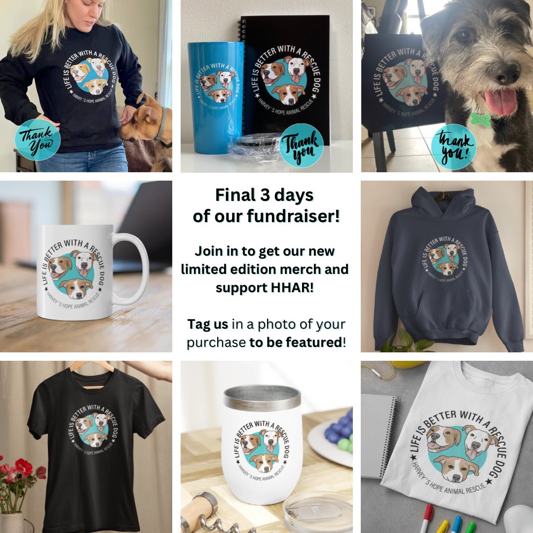 harveyshope's tweet photo. ๐ฃ We are down to the ๐๐๐๐๐ 3 ๐
๐๐๐ of our fundraiser with @detezi! If youโve been holding out, now is the time to jump in on our โจ๐๐๐๐๐ก๐๐ ๐๐๐๐ก๐๐๐ โจ custom design to support Harveyโs Hope! #LinkinBio #rescuefundraiser #detezidonates #LimitedEdition #HHAR https://t.co/zNr5tLfDrT