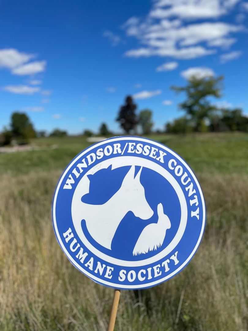 PureWaterYQG's tweet photo. 2nd Annual Putts for Paws 🐾 Golf ⛳️ tournament was a great success! All golfers and pets stayed hydrated with our local #PureWater Brand !

#yqg #PureWaterYQG #yqgbusiness #shopyqg #wechamber https://t.co/vD6hwkW2ph