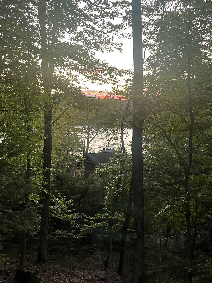 jillkonopka's tweet photo. Docks are out at #CabinColony Schroon Lake, N.Y. #Brrrrrrrrr🌊 #Sunset🌅 #Adirondacks⛰ https://t.co/nUpxOUW4OZ