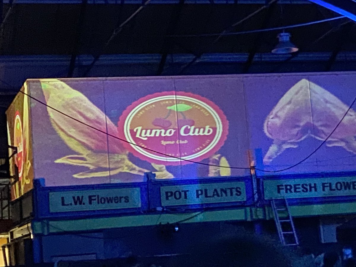 Such a wonderful event. Whoever came up with projecting the names of the acts as fruit labels is brilliant! Great event! So much potential for this space!