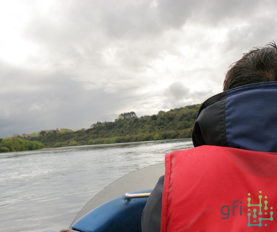 GFI Systems Inc. tweet media