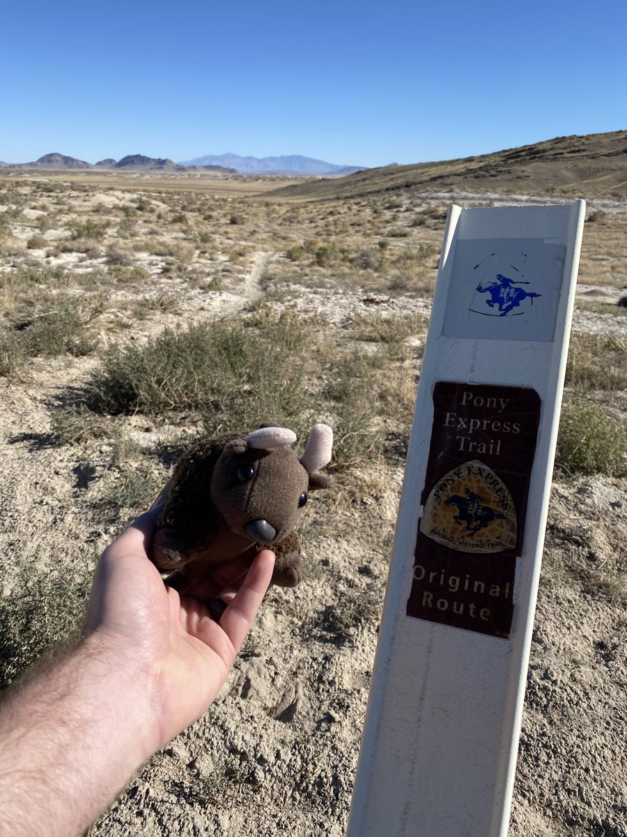 BuddyBisonTrips's tweet photo. Pony express trail in Utah’s west desert.
September 2022
#buddybison https://t.co/afgB6XrO8U