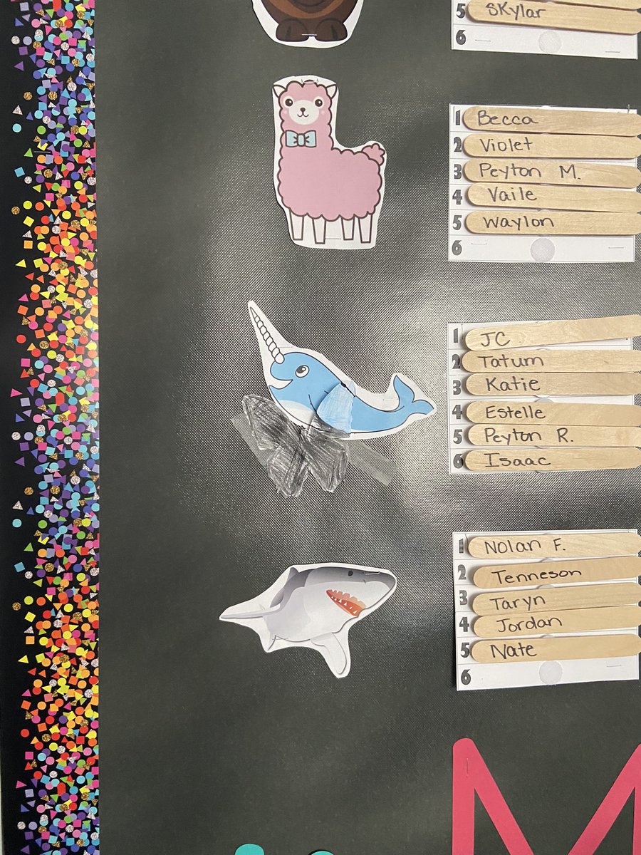 Dana Schendel tweet media