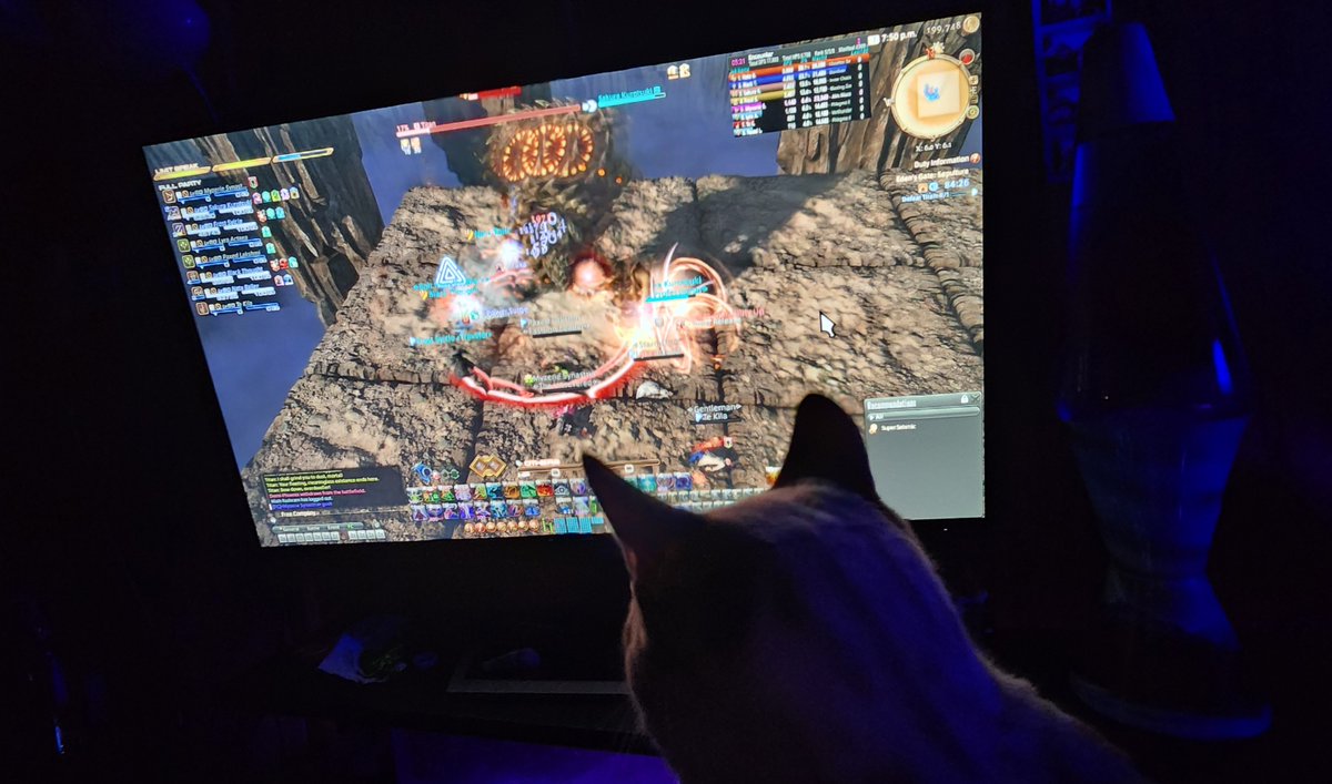 when your bengal #kitten watches as you die in #FF14  T_T