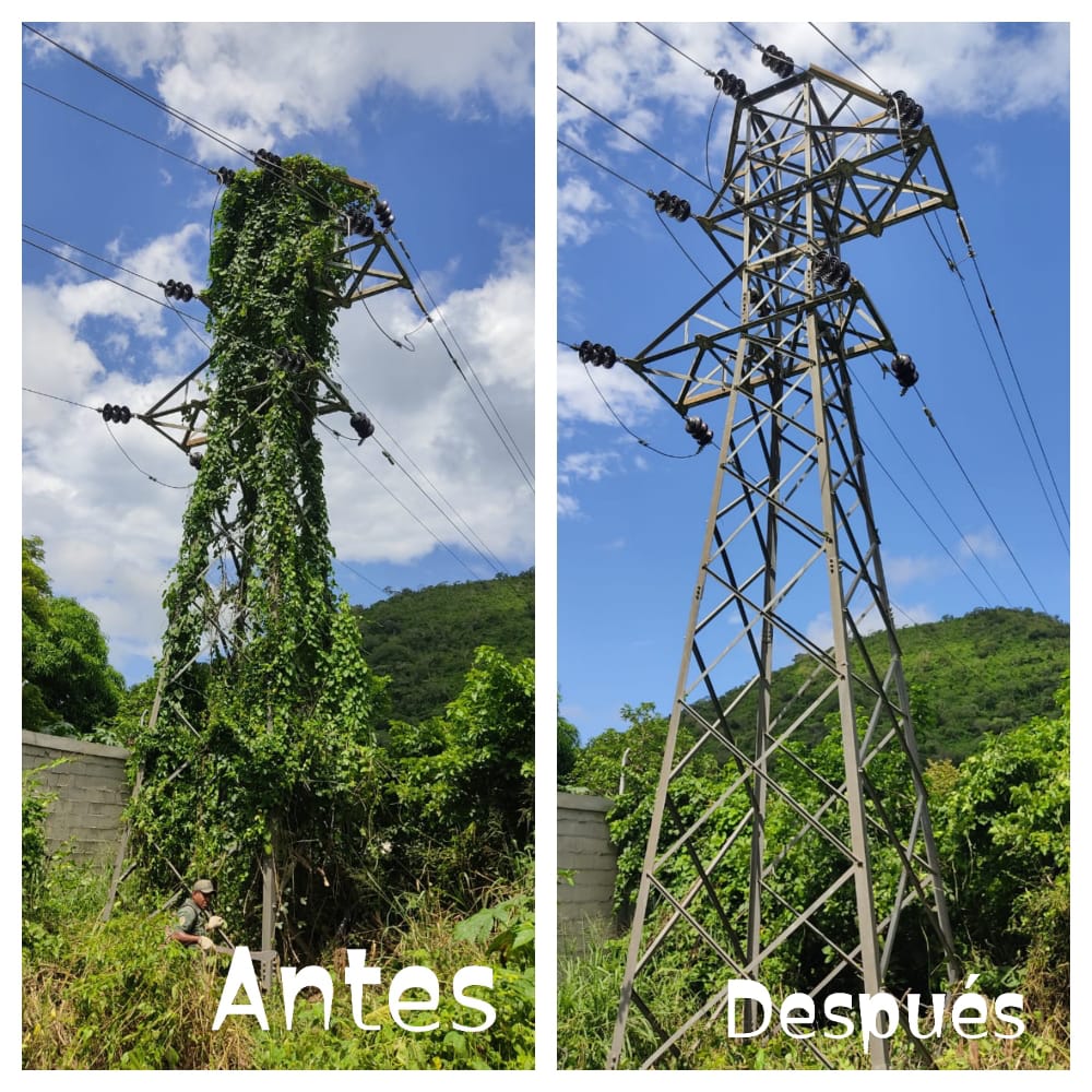 comando_bnar's tweet photo. #Deinterés 📌#23Sept La dotación de la #BNAR efectuó mantenimiento de pica y poda a la Torre #0 ubicada a la salida de la Subestación Valle Seco.
El @comando_bnar sigue trabajando en #ProDelBienestarNaval ⚓️
@ArmadaFANBVzla @AnibalBritoHer1 
@vladimirpadrino 
@AB_DNALO https://t.co/4noKNNkmWQ
