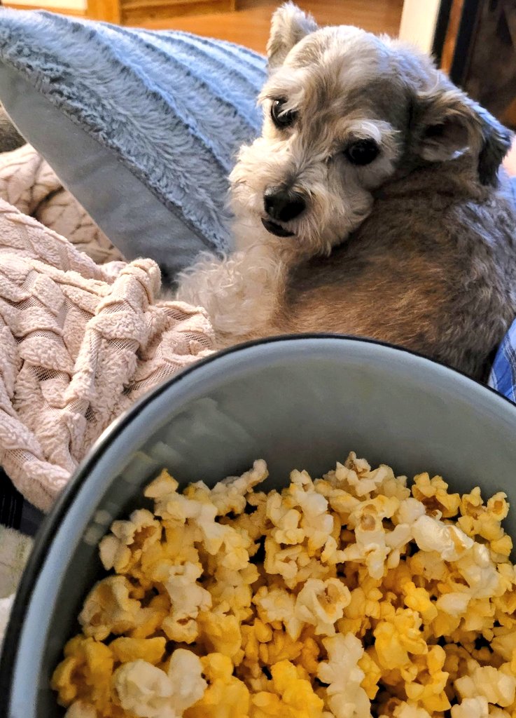 I'm watching Tales of the Walking Dead and Reedus is watching my popcorn. Who knew he loved it!! 
🍿🐾
#Reedus #Movie #Popcorn #fridaynightmovie @TheWalkingDead #TalesOfTWD