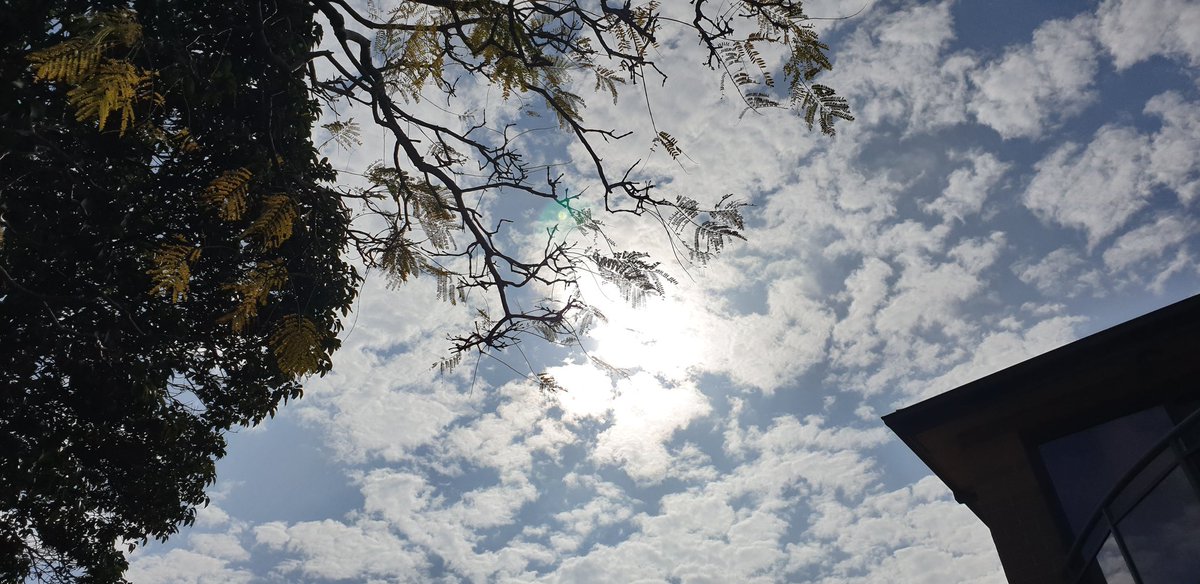 Saturday sun through cotton ball clouds #AltocumulousClouds Blue skies and grey. Bright side. #Sydneyskies