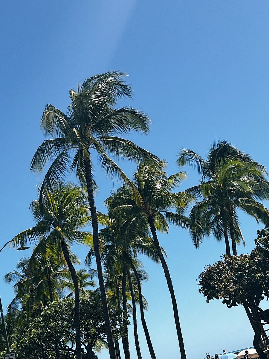 MYMY ✨ tweet media